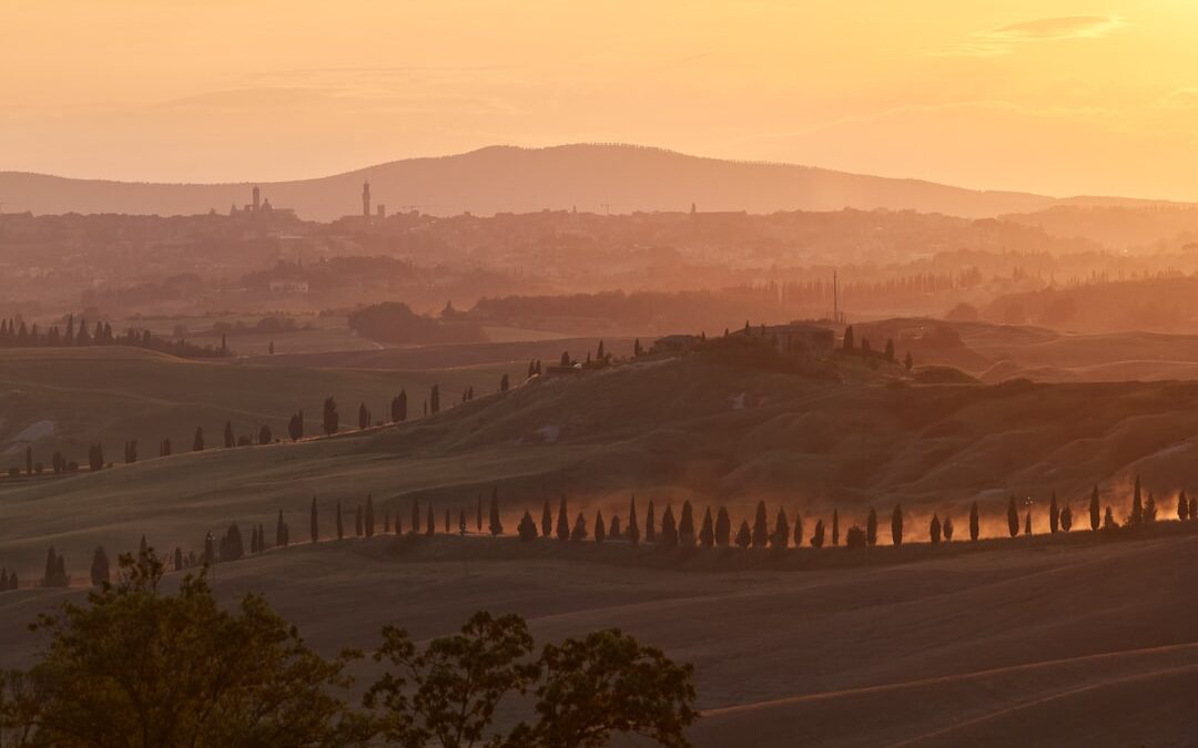 richiedi info su contributi per badanti in Toscana