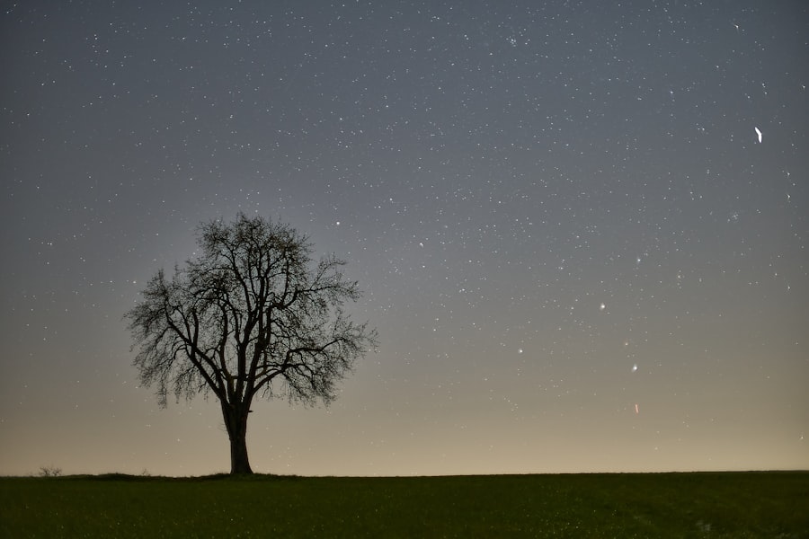 Photo Constellations Family Therapy
