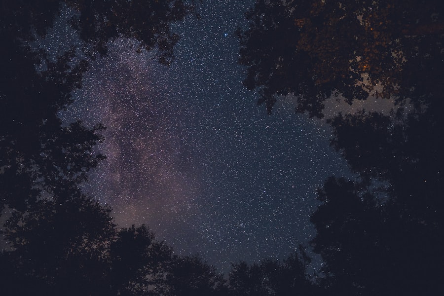 constellations family therapy